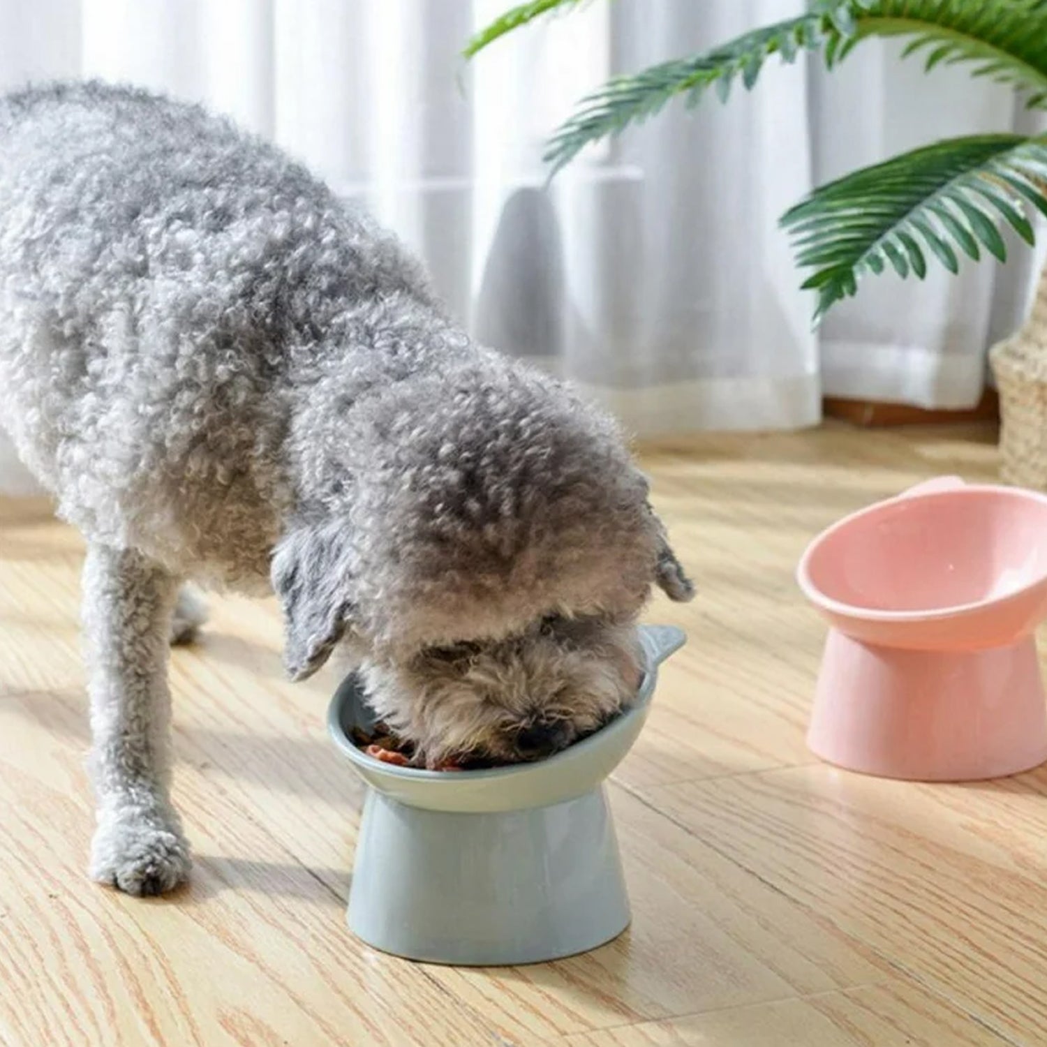 VersaBowl VersaBowl